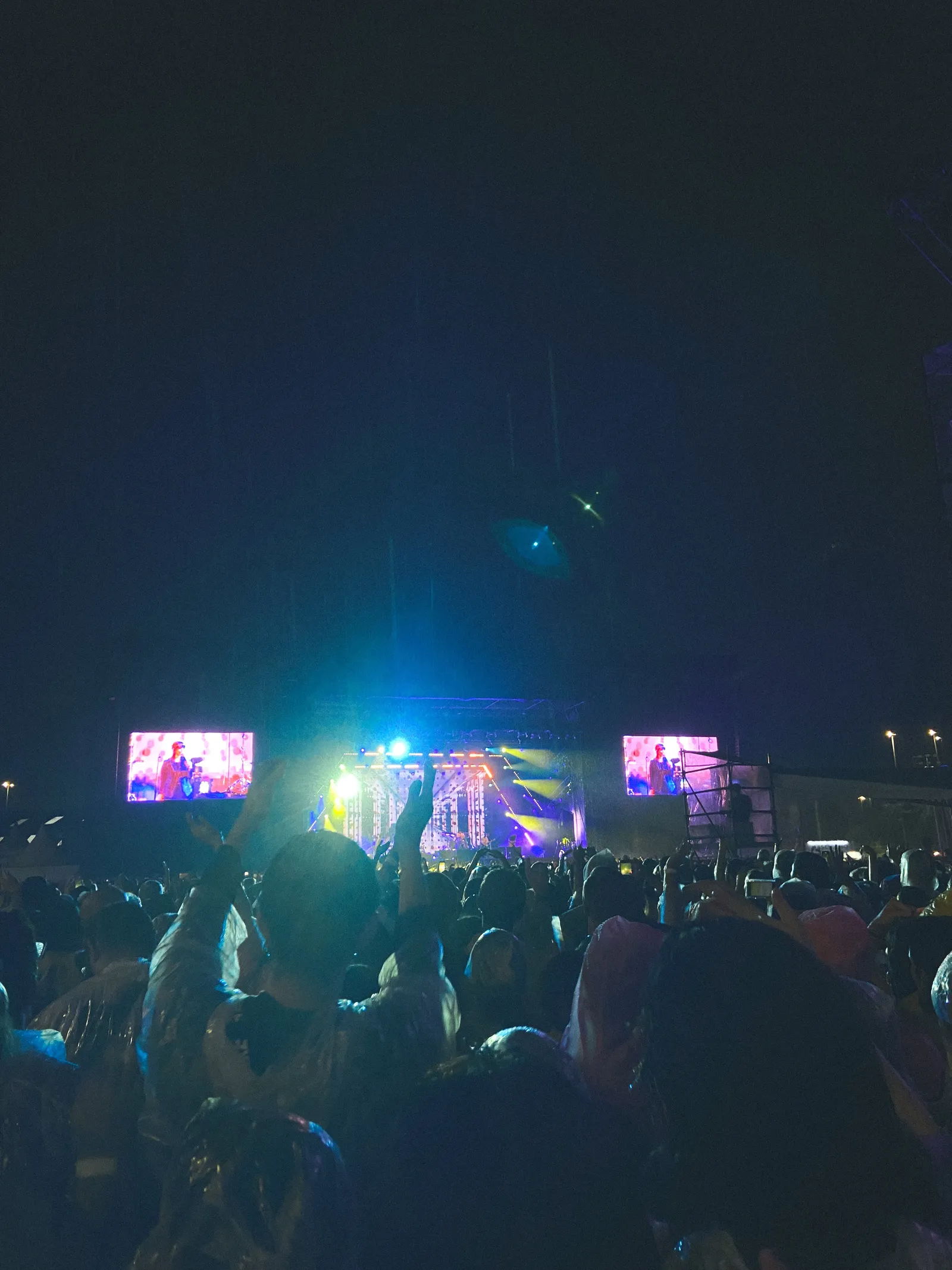 IMG 3731 2