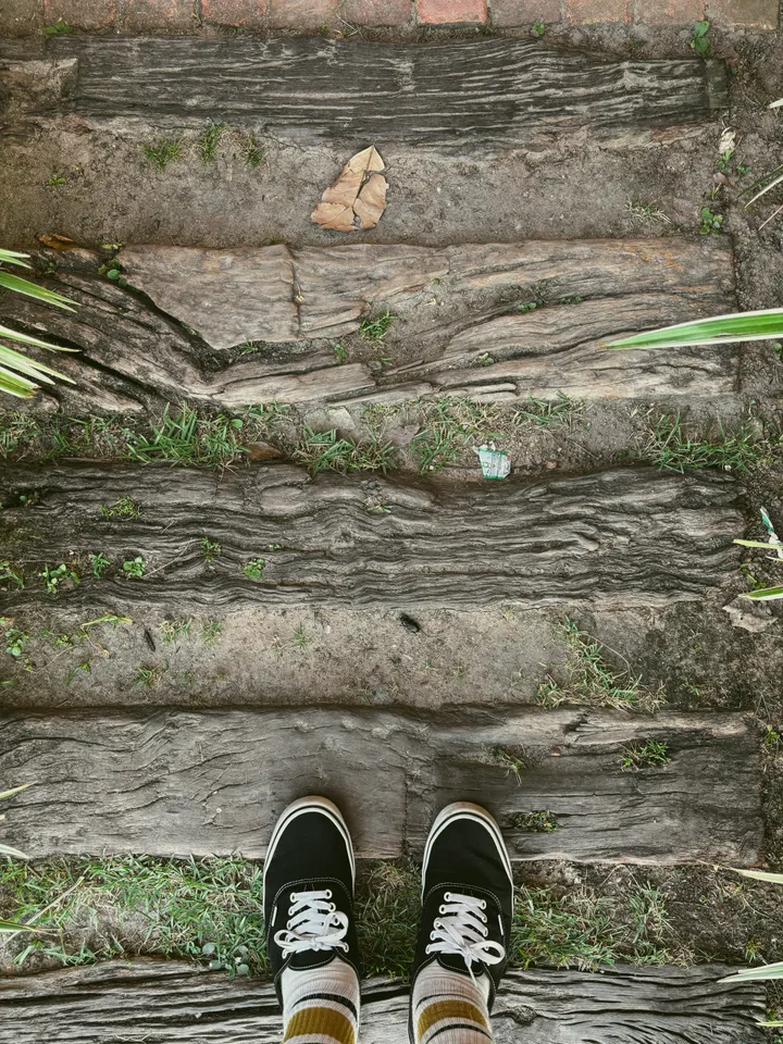 Wandering